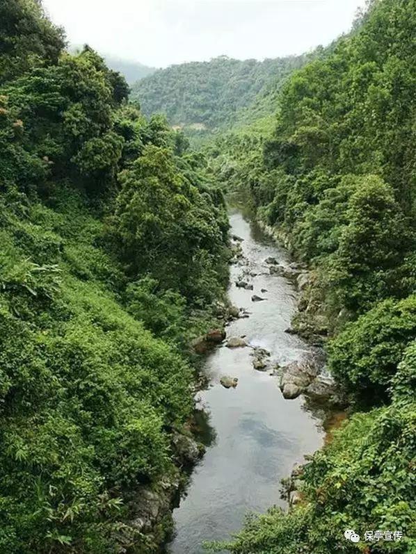 彩色夏天
